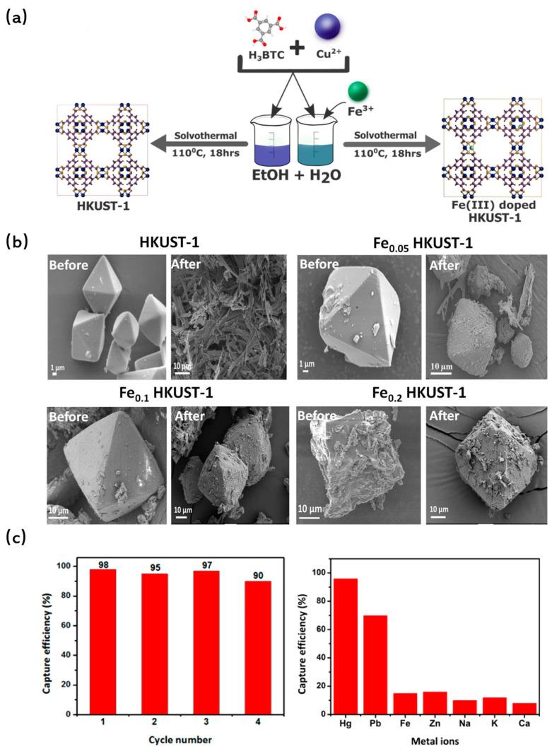 https://cdn.ncbi.nlm.nih.gov/pmc/blobs/f1de/11013246/fdf7d8f80a5b/molecules-29-01615-g007.jpg