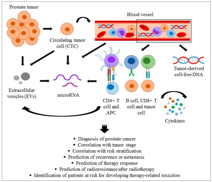 https://cdn.ncbi.nlm.nih.gov/pmc/blobs/f1de/8070149/b2f0a86161a5/jpm-11-00296-g001.jpg