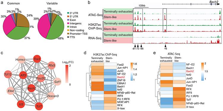 https://cdn.ncbi.nlm.nih.gov/pmc/blobs/f1df/7906956/016e7b771968/nihms-1660066-f0001.jpg