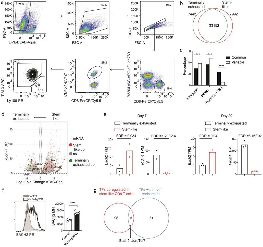 https://cdn.ncbi.nlm.nih.gov/pmc/blobs/f1df/7906956/04cb1efaf1e2/nihms-1660066-f0008.jpg