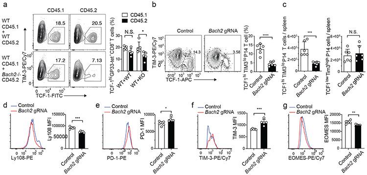 https://cdn.ncbi.nlm.nih.gov/pmc/blobs/f1df/7906956/0745f4050e9a/nihms-1660066-f0005.jpg