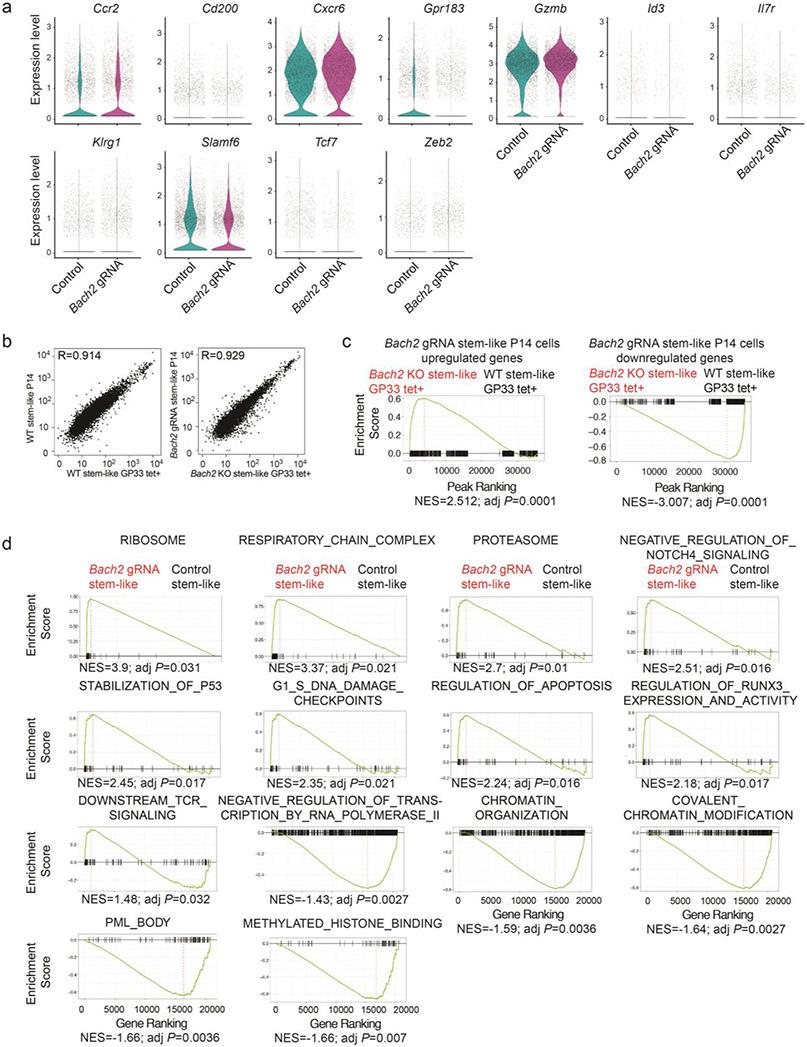 https://cdn.ncbi.nlm.nih.gov/pmc/blobs/f1df/7906956/1160a1e0615b/nihms-1660066-f0013.jpg