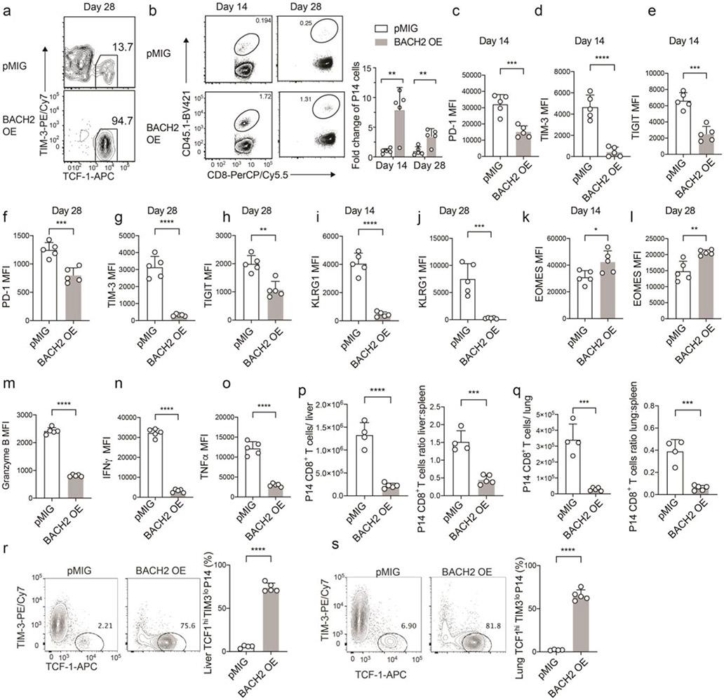 https://cdn.ncbi.nlm.nih.gov/pmc/blobs/f1df/7906956/1eed7d1379b7/nihms-1660066-f0009.jpg