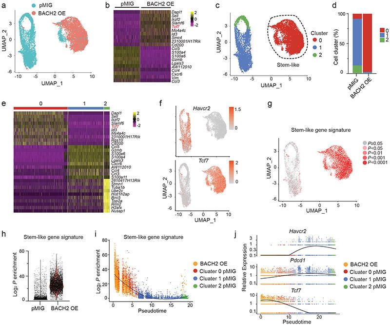 https://cdn.ncbi.nlm.nih.gov/pmc/blobs/f1df/7906956/33e8af867409/nihms-1660066-f0003.jpg