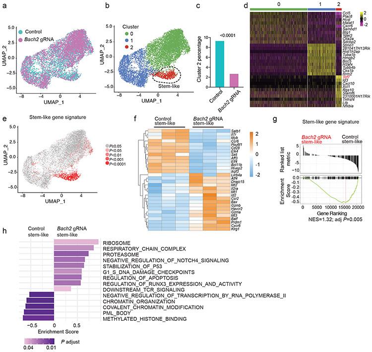https://cdn.ncbi.nlm.nih.gov/pmc/blobs/f1df/7906956/3d0e1cd20f88/nihms-1660066-f0006.jpg