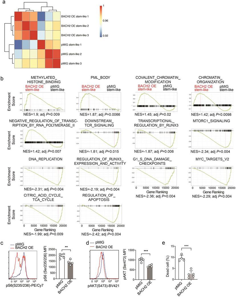 https://cdn.ncbi.nlm.nih.gov/pmc/blobs/f1df/7906956/590b9458c996/nihms-1660066-f0011.jpg