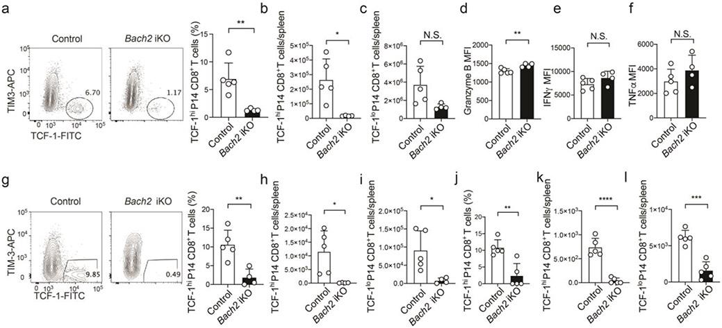 https://cdn.ncbi.nlm.nih.gov/pmc/blobs/f1df/7906956/86853bbc3da2/nihms-1660066-f0012.jpg