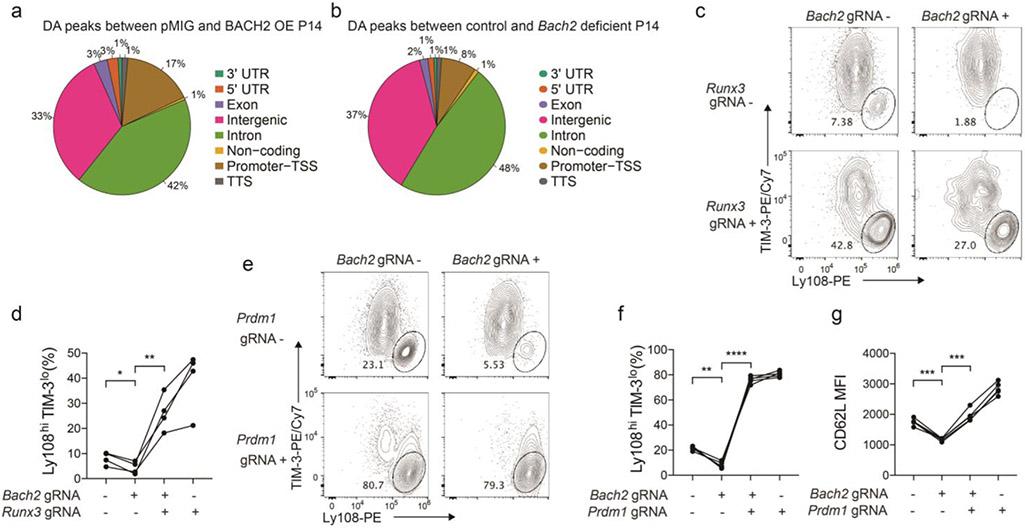 https://cdn.ncbi.nlm.nih.gov/pmc/blobs/f1df/7906956/a8f8f13784f1/nihms-1660066-f0014.jpg