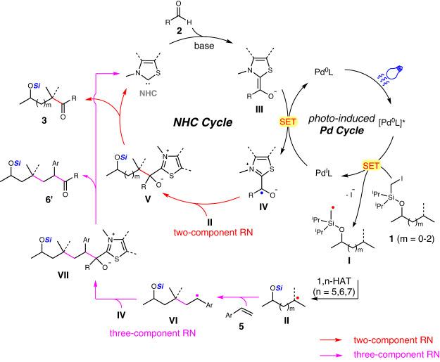 https://cdn.ncbi.nlm.nih.gov/pmc/blobs/f1e0/10329650/7990a97b398a/41467_2023_39707_Fig6_HTML.jpg