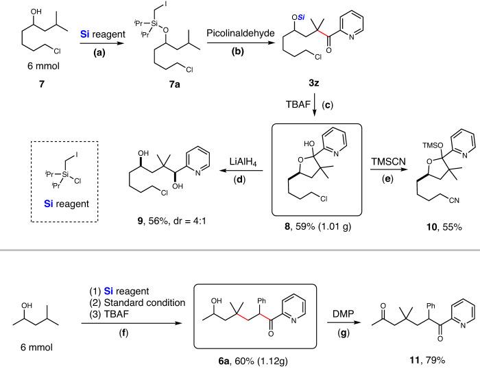 https://cdn.ncbi.nlm.nih.gov/pmc/blobs/f1e0/10329650/b33203764b46/41467_2023_39707_Fig4_HTML.jpg