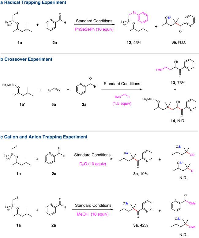 https://cdn.ncbi.nlm.nih.gov/pmc/blobs/f1e0/10329650/c843f6753b6e/41467_2023_39707_Fig5_HTML.jpg