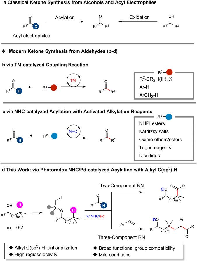 https://cdn.ncbi.nlm.nih.gov/pmc/blobs/f1e0/10329650/c9d323bf5f5d/41467_2023_39707_Fig1_HTML.jpg