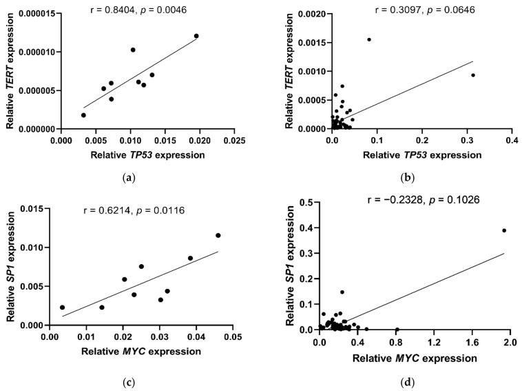 https://cdn.ncbi.nlm.nih.gov/pmc/blobs/f1e0/9102200/ab18838375cc/ijms-23-05164-g002.jpg