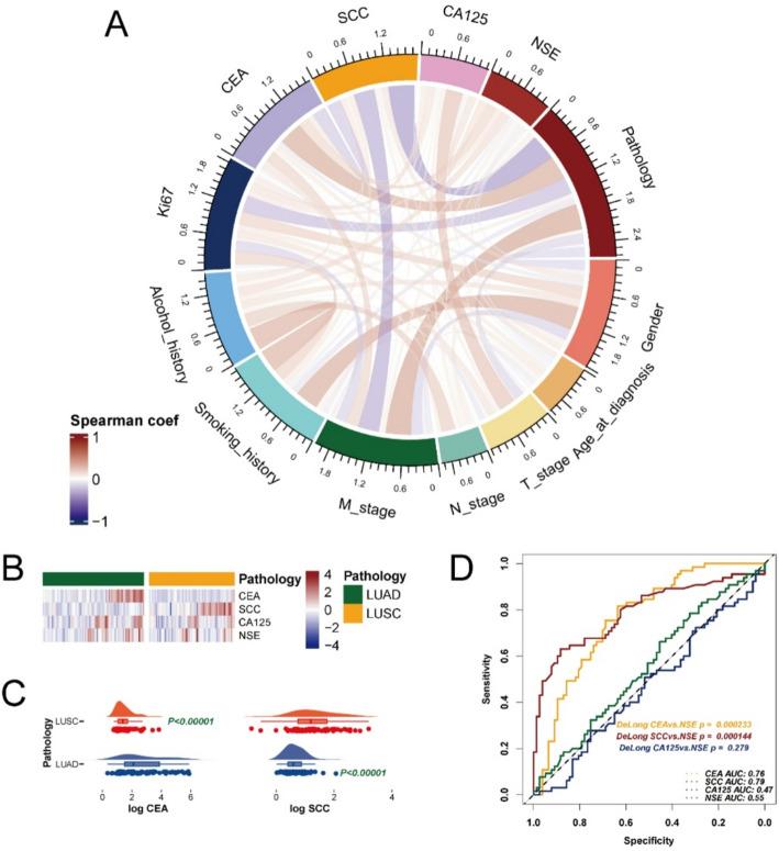https://cdn.ncbi.nlm.nih.gov/pmc/blobs/f1e1/12170968/ac06c1675791/12672_2025_2969_Fig2_HTML.jpg