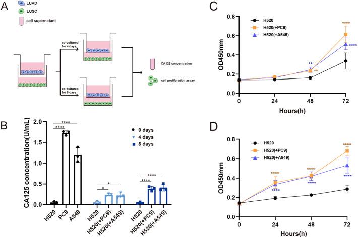 https://cdn.ncbi.nlm.nih.gov/pmc/blobs/f1e1/12170968/e463751e2640/12672_2025_2969_Fig6_HTML.jpg