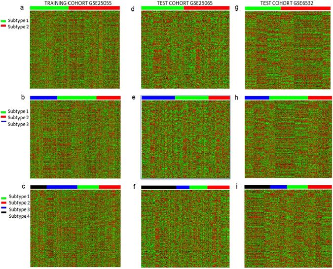 https://cdn.ncbi.nlm.nih.gov/pmc/blobs/f1e1/5501792/3d76ec86fabf/41598_2017_5275_Fig2_HTML.jpg