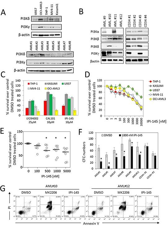 https://cdn.ncbi.nlm.nih.gov/pmc/blobs/f1e2/5129970/73e17583a8fa/oncotarget-07-39784-g001.jpg