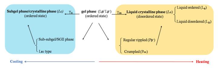 https://cdn.ncbi.nlm.nih.gov/pmc/blobs/f1e3/8879473/e6a3e0bca463/molecules-27-01372-g005.jpg