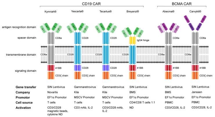 https://cdn.ncbi.nlm.nih.gov/pmc/blobs/f1e3/9024694/4f65a554d557/jcm-11-02158-g003.jpg