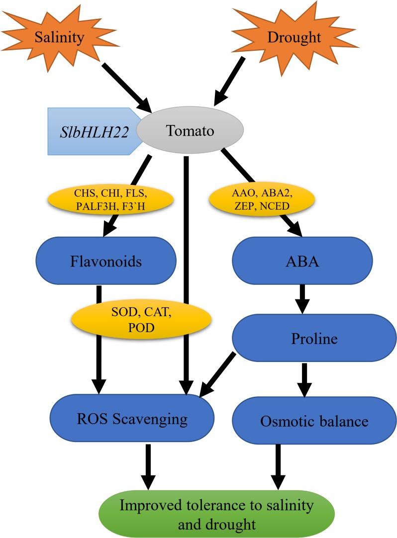 https://cdn.ncbi.nlm.nih.gov/pmc/blobs/f1e4/6558761/52c8222cfffc/fpls-10-00734-g007.jpg
