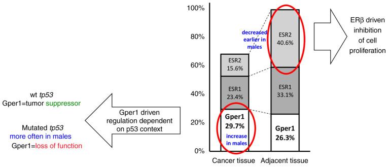 https://cdn.ncbi.nlm.nih.gov/pmc/blobs/f1e5/12046377/51f63e96e015/ol-29-06-15051-g08.jpg