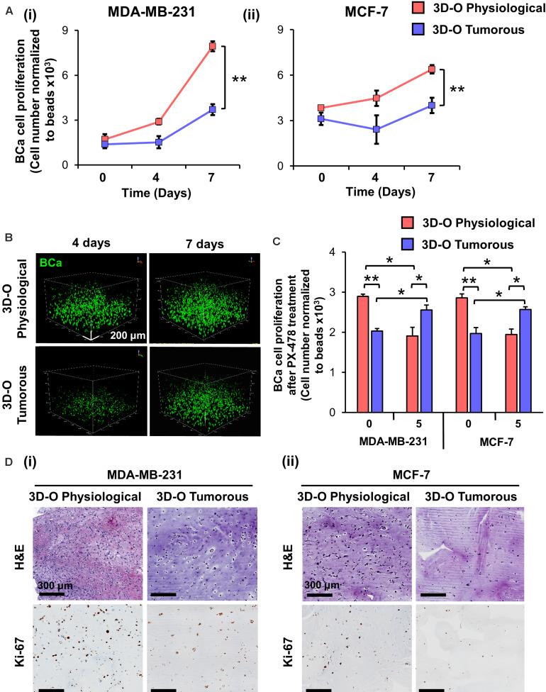https://cdn.ncbi.nlm.nih.gov/pmc/blobs/f1e7/7498579/4ff32339ff2d/fbioe-08-01040-g003.jpg