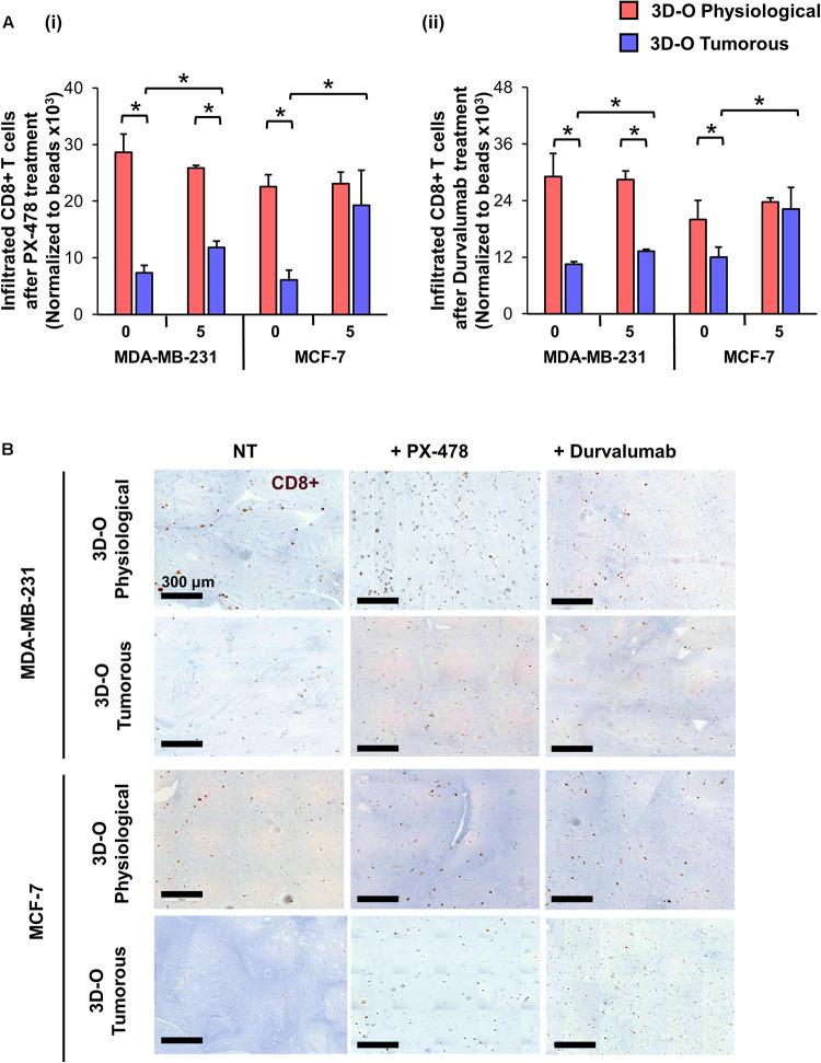 https://cdn.ncbi.nlm.nih.gov/pmc/blobs/f1e7/7498579/54ae358f4821/fbioe-08-01040-g008.jpg