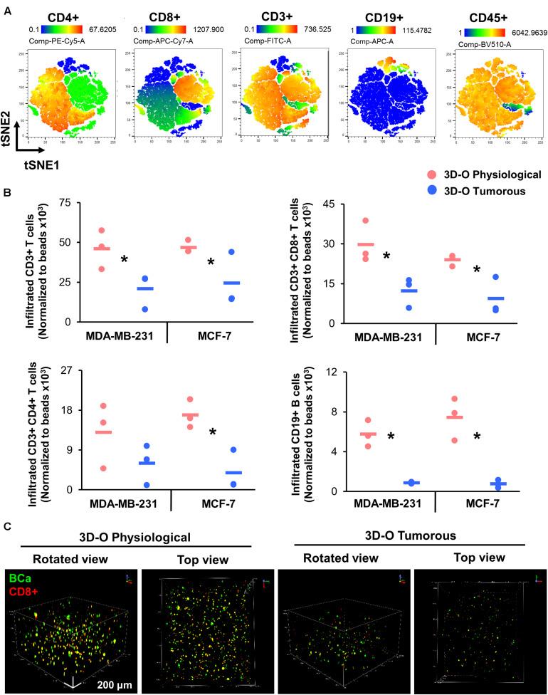https://cdn.ncbi.nlm.nih.gov/pmc/blobs/f1e7/7498579/f9a3f0c60a43/fbioe-08-01040-g007.jpg