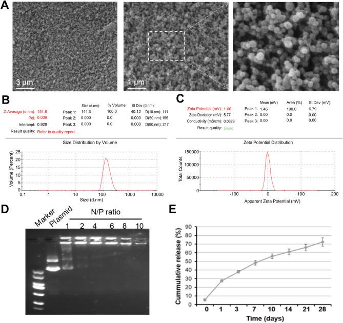 https://cdn.ncbi.nlm.nih.gov/pmc/blobs/f1eb/11754751/0903620da65e/41598_2025_86716_Fig3_HTML.jpg