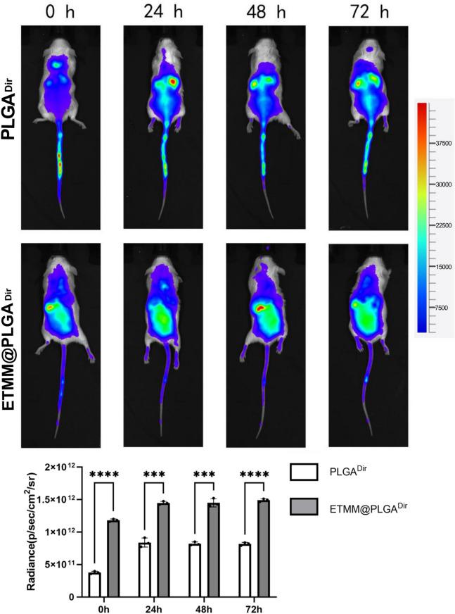 https://cdn.ncbi.nlm.nih.gov/pmc/blobs/f1eb/11754751/0f87ff649856/41598_2025_86716_Fig6_HTML.jpg