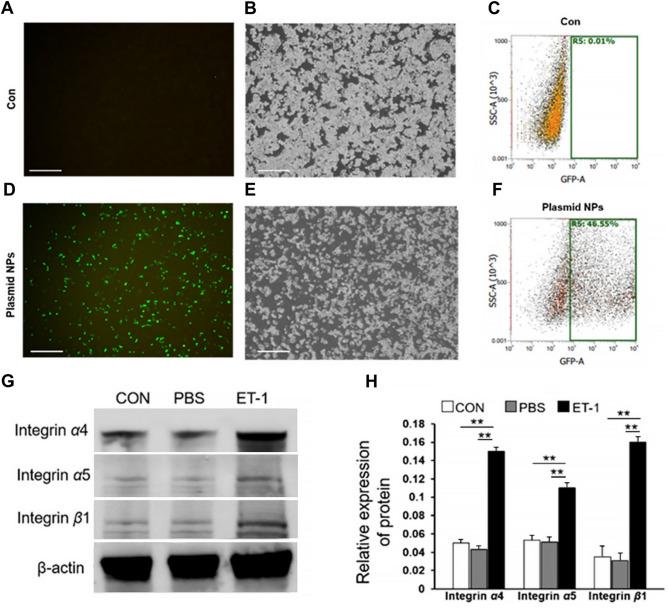https://cdn.ncbi.nlm.nih.gov/pmc/blobs/f1eb/11754751/a8ec8886fdd8/41598_2025_86716_Fig4_HTML.jpg
