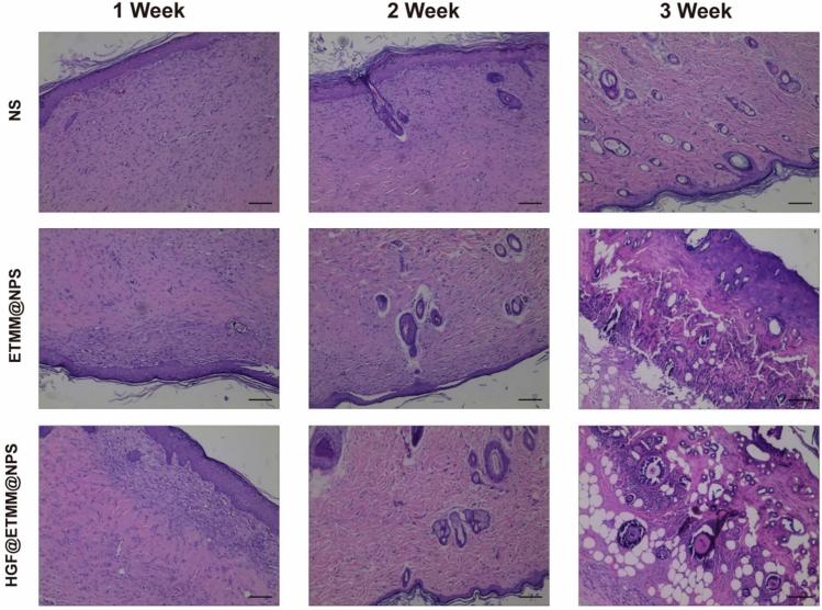 https://cdn.ncbi.nlm.nih.gov/pmc/blobs/f1eb/11754751/b410125d93c3/41598_2025_86716_Fig9_HTML.jpg