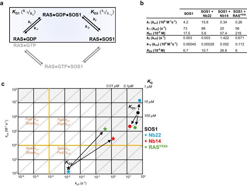 https://cdn.ncbi.nlm.nih.gov/pmc/blobs/f1ee/11266648/083edd7d4cc6/41467_2024_50349_Fig3_HTML.jpg