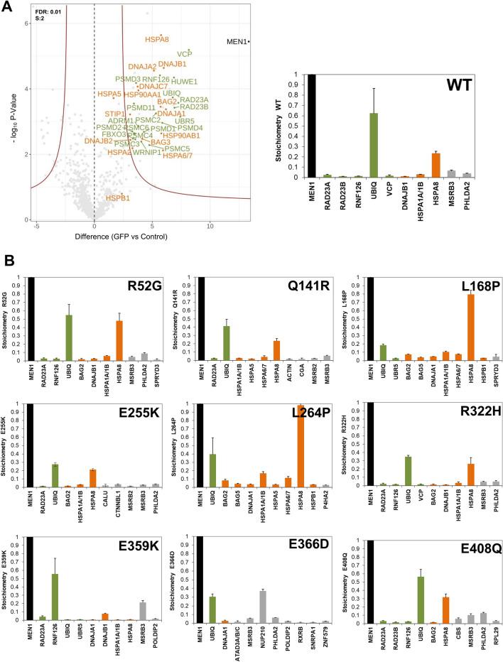 https://cdn.ncbi.nlm.nih.gov/pmc/blobs/f1ef/9361535/02dcef77723a/13072_2022_461_Fig4_HTML.jpg