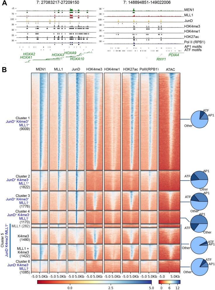https://cdn.ncbi.nlm.nih.gov/pmc/blobs/f1ef/9361535/a62b25e914ea/13072_2022_461_Fig5_HTML.jpg