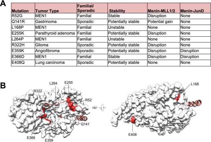 https://cdn.ncbi.nlm.nih.gov/pmc/blobs/f1ef/9361535/bc11a08c21ef/13072_2022_461_Fig1_HTML.jpg