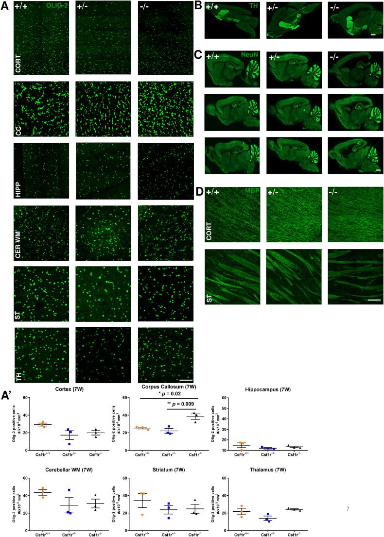 https://cdn.ncbi.nlm.nih.gov/pmc/blobs/f1f0/7941205/c56d51e97732/mmc1.jpg