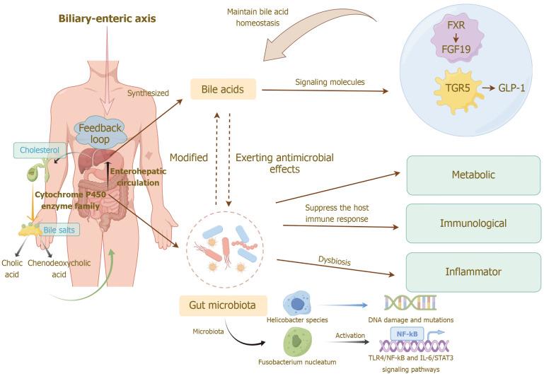 https://cdn.ncbi.nlm.nih.gov/pmc/blobs/f1f1/12019280/1fad4faaca04/102374-g001.jpg