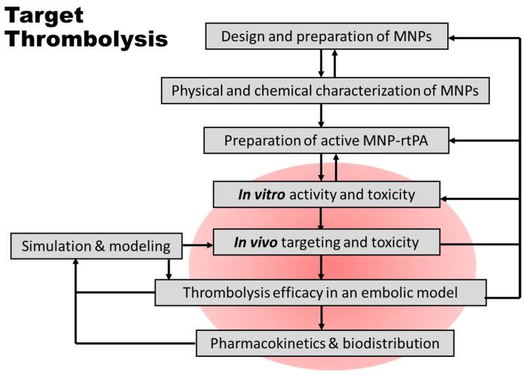 https://cdn.ncbi.nlm.nih.gov/pmc/blobs/f1f3/11124959/ba223c110c36/pharmaceutics-16-00596-g007.jpg