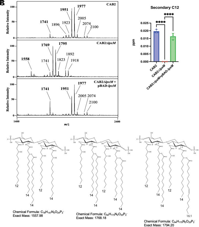https://cdn.ncbi.nlm.nih.gov/pmc/blobs/f1f3/12377781/d722db00fbb7/pnas.2426547122fig04.jpg