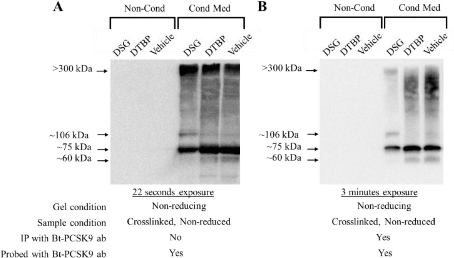 https://cdn.ncbi.nlm.nih.gov/pmc/blobs/f1f3/7316369/4d2efc256498/nihms-1573557-f0003.jpg