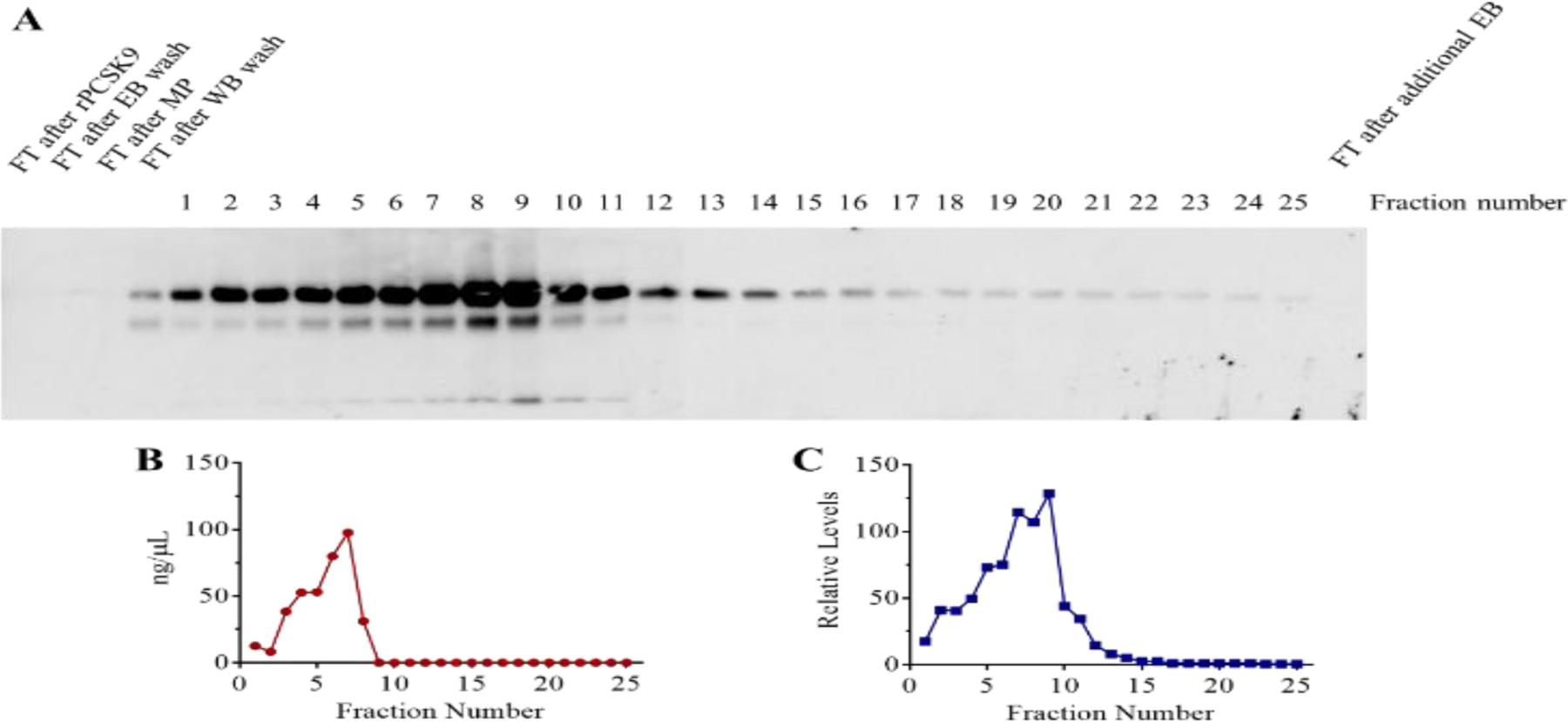 https://cdn.ncbi.nlm.nih.gov/pmc/blobs/f1f3/7316369/71442e0ee19a/nihms-1573557-f0005.jpg