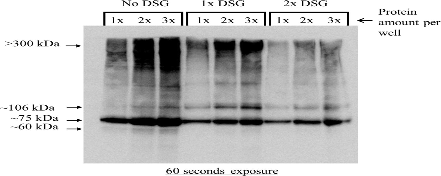 https://cdn.ncbi.nlm.nih.gov/pmc/blobs/f1f3/7316369/76641f1a2167/nihms-1573557-f0004.jpg
