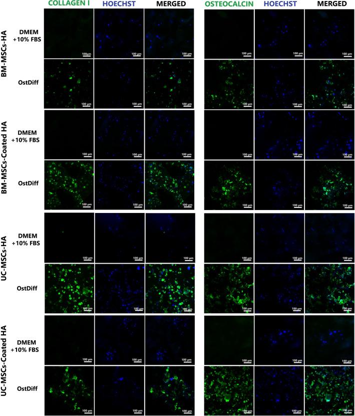 https://cdn.ncbi.nlm.nih.gov/pmc/blobs/f1f4/9663507/1f382528cde6/41598_2022_24160_Fig9_HTML.jpg