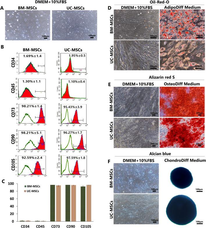 https://cdn.ncbi.nlm.nih.gov/pmc/blobs/f1f4/9663507/2d583d7f6581/41598_2022_24160_Fig2_HTML.jpg