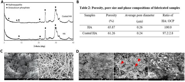https://cdn.ncbi.nlm.nih.gov/pmc/blobs/f1f4/9663507/9f8d29ec48e6/41598_2022_24160_Fig1_HTML.jpg