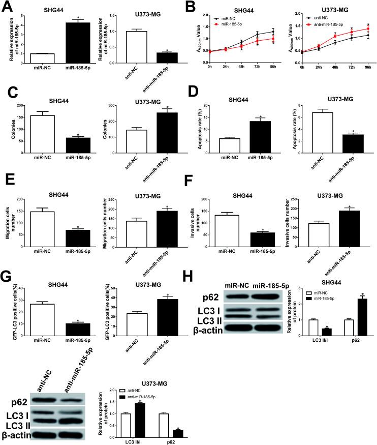 https://cdn.ncbi.nlm.nih.gov/pmc/blobs/f1f5/9062606/b2c56d24ee69/c8ra09546a-f5.jpg
