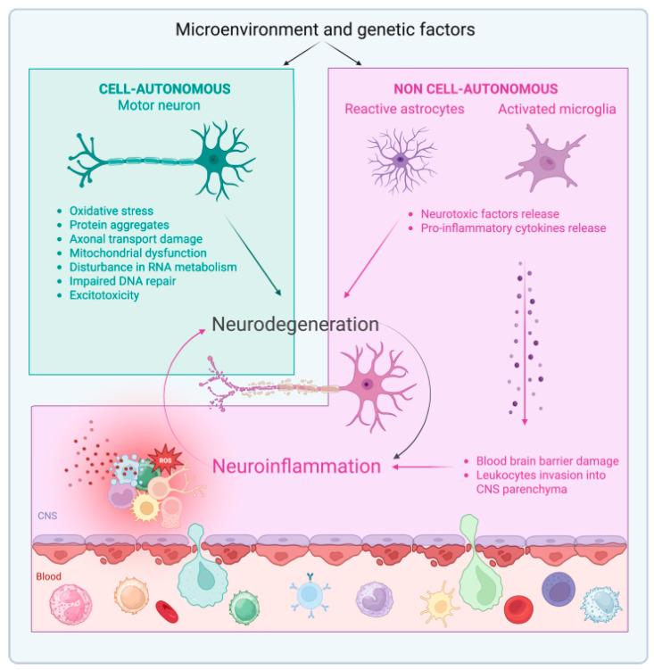 https://cdn.ncbi.nlm.nih.gov/pmc/blobs/f1f6/12028049/521098849674/ijms-26-03854-g001.jpg
