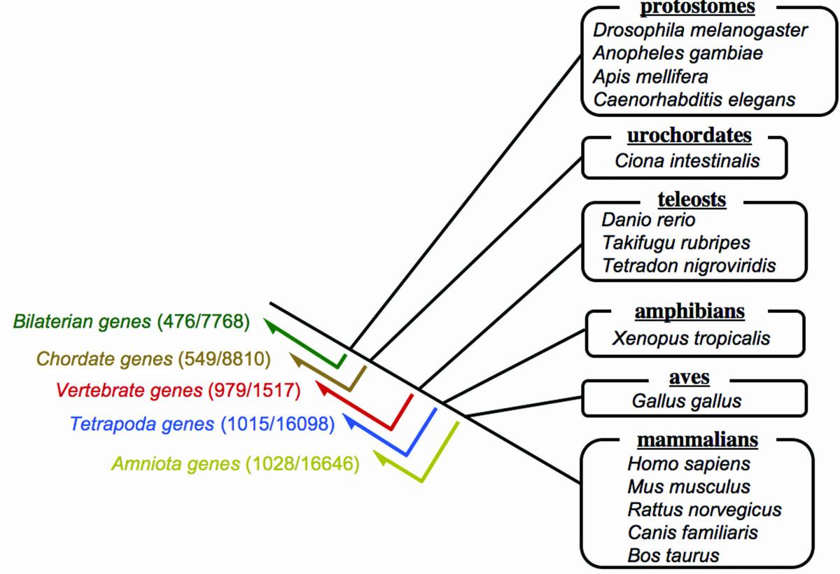 https://cdn.ncbi.nlm.nih.gov/pmc/blobs/f1f7/1797197/5dde95f679e5/1741-7007-5-1-1.jpg