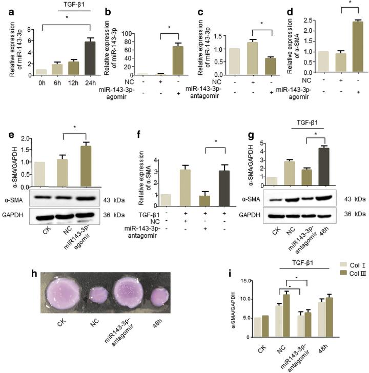 https://cdn.ncbi.nlm.nih.gov/pmc/blobs/f1f9/9063159/42d105e1355c/dna.2021.1034_figure5.jpg